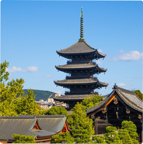 メディア事業
